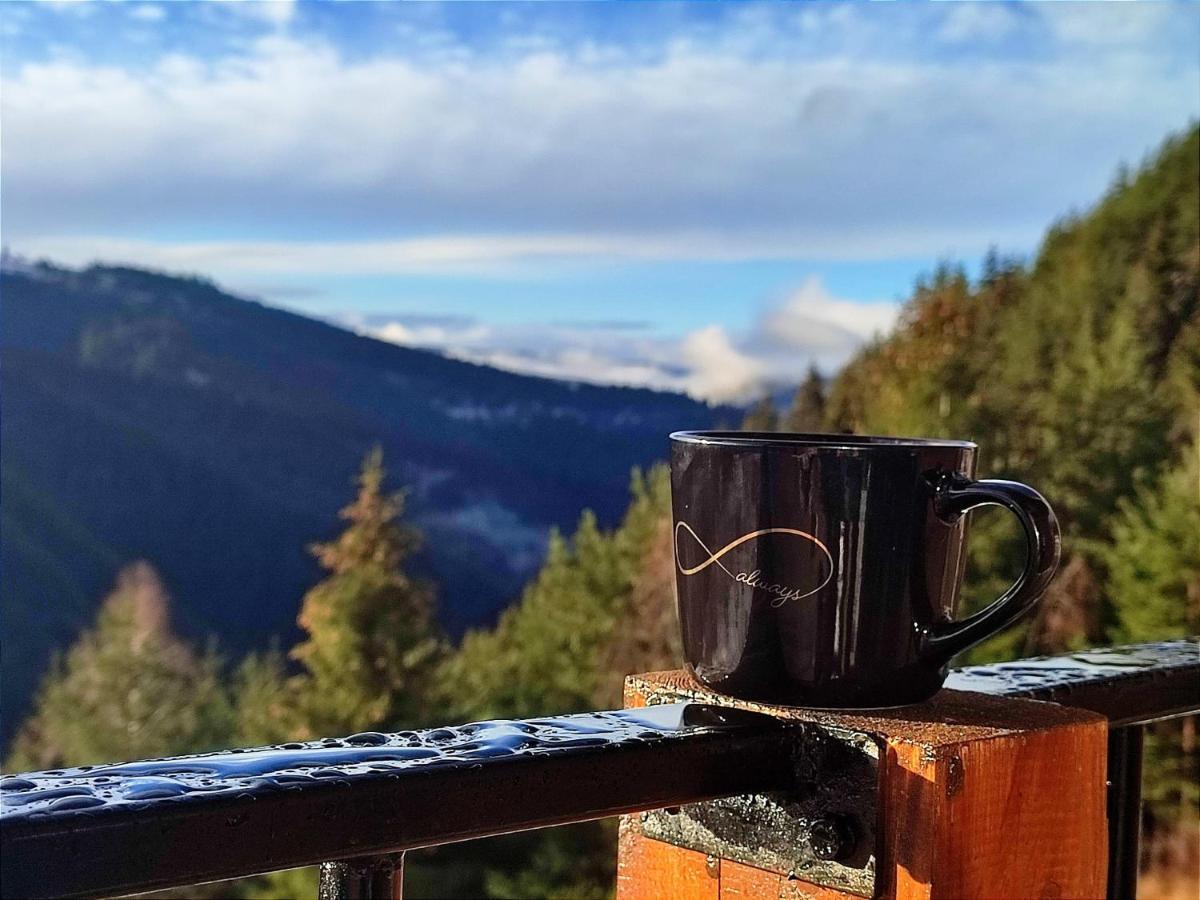 Вилла Infinity Cabin Rasca  Экстерьер фото